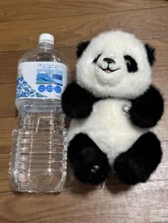 Item thumbnail for item 64152555-44aa-4f1d-b975-bc26c19eadf6