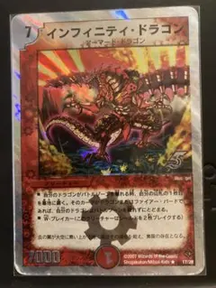 【即日発送‼️】インフィニティドラゴン