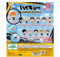 ハイキュー めじるしアクセサリー