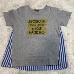 studio mini Tシャツ グレー ストライプ切替のサムネイル