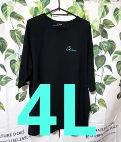 Chroma 半袖カットソー 4L ブラック