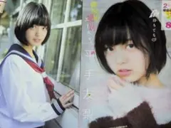 グラビア切抜㊳元欅坂46ソロ多め平手友梨奈他300ページ以上