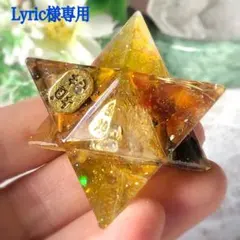 Lyric様専用ページです♥️