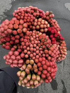 まるこ様 リクエスト 3点 まとめ商品