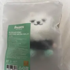 PLUSH KEYRING プルバトゥ ヨンモン キーリング TXT スビン
