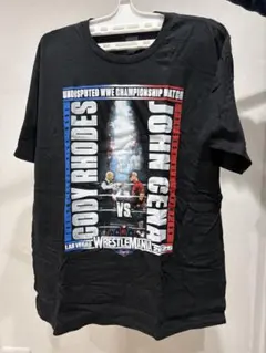 WrestleMania 25Cody Rhodes vs John Cena