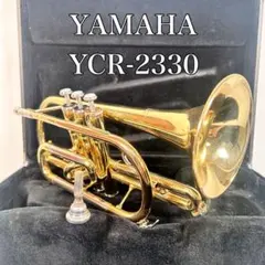 VIBRA V•H80 3879 シングルホルン マウスピース付き - メルカリ