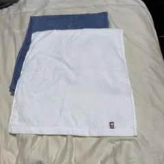 Item thumbnail for item 3e6f7bbb-2c8b-41ef-af47-c5361200b976