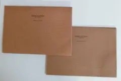 Louis Vuitton　袋　２枚セット