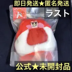 RIIZE RIIZINGDAY FINALE ペンライトカバー ショウタロウ