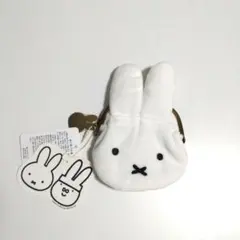 Item thumbnail for item 8c1150b7-d9df-4d8d-a1b5-bd98103b459b