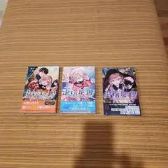 虚構推理 19 & 20 &21セット