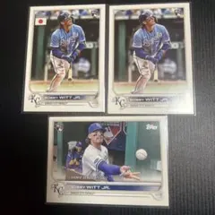 Item thumbnail for item d3df2fb4-23e0-411e-8048-40814804d97c