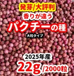 パクチーの種【2000粒】⭕️のサムネイル