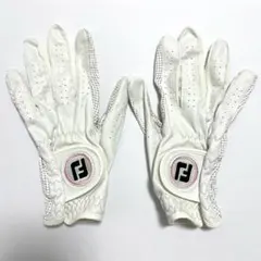 フットジョイ　ナノロック　ゴルフグローブ　19cm