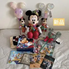 新品未使用ディズニー40周年ドリームゴーラウンドハモカラミッキーミニーぬいぐるみのサムネイル