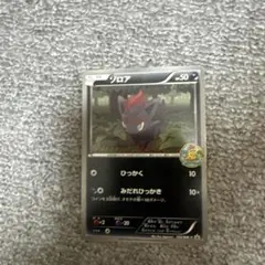 ポケモンカード ゾロア HP50 はじめて大会