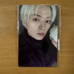 StrayKids スキズ DO IT FANS SHOP リスパ トレカ リノ