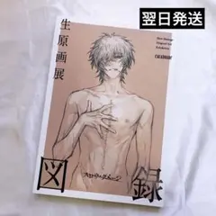 スロウダメージ 生原画展 Slow Damage 図録 新品 新品未開封品□スロウダメージ 生原画展 図録 スロダメ Slow Damage