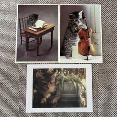 猫のイラスト ポストカード 3枚セット他