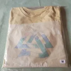 湘南国際マラソン参加ｔシャツ　半袖　Mサイズ