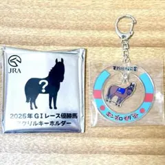 ロマンチックウォリアー　アクリルキーホルダー　安田記念　競馬　ウマ娘　JRA 第74回安田記念 ロマンチックウォリアー アクリルキーホルダー - メルカリ