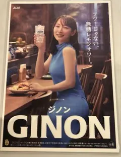Asahi GINON ポスター 大小2枚セット 吉岡里帆 ジノン - メルカリ