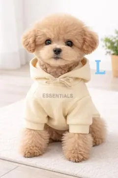 【大人気】韓国風 犬服 パーカー クリーム Lサイズ 高見え おしゃれ