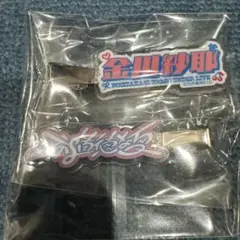 金川紗耶ランダムヘアクリップ　乃木坂46 39thアンダーライブ