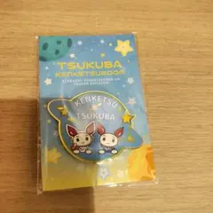 Item thumbnail for item 02f019a0-2284-4136-bcdd-9870a1f18b22