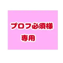 専用出品