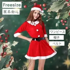 お値下げ！衣装【 早いもの勝ち！即日発送】　サンタ服 コスプレ　3点セット
