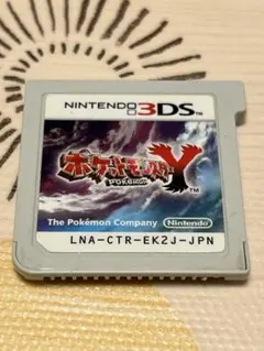 3DS ポケットモンスター Y ※商品説明必読