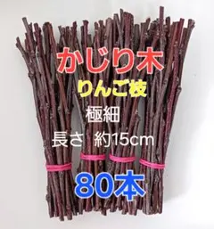 Item thumbnail for item d2db5fa0-5b17-4f54-857c-70f4ba075939