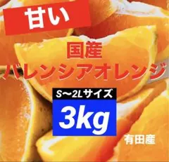 162)数量限定　甘い　国産　バレンシアオレンジ　みかん　果物 旬のサムネイル