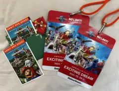 2025年最新】USJ 貸切 クレデンシャルの人気アイテム - メルカリ