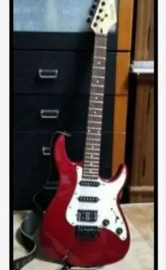 エレキギター CHATTING BIRD　by CAPALISON STRAT