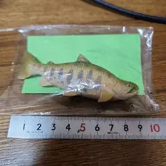 Item thumbnail for item 5ff2654b-8948-43f3-8d00-d8ed9469b9c0