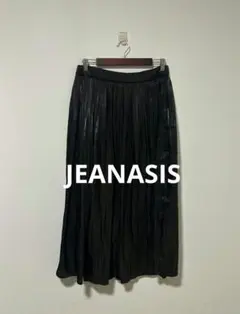JEANASIS ジーナシス プリーツ ロング スカート ブラック F