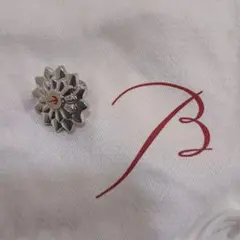 2026年最新】バカラ ブローチの人気アイテム - メルカリ