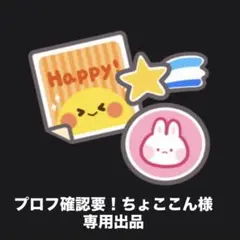 こちらプロフ確認要！ちょここん様 専用出品です。 3枚セット シール