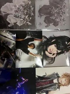 蛾と蝶 クロハネ Lycaon Initial'L