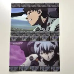 ヱヴァンゲリヲン　新劇場版 破　 ビジュアルアートワークス　碇シンジ　綾波レイ