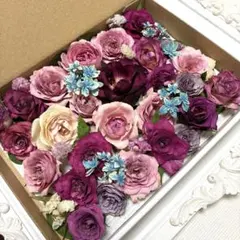 madoka様 リクエスト 2点 まとめ商品