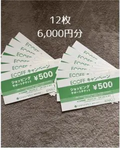 エコフ　大丸パルコ　ショッピングサポートチケット 12枚 6,000円分のサムネイル