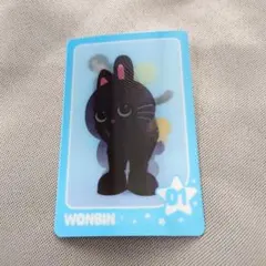 RIIZE POPUP PARK ウォンビン トレカ　スペシャル