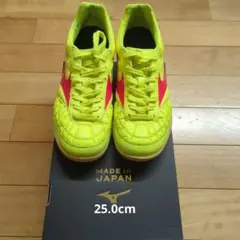 モレリア　サラ　ジャパン　イン