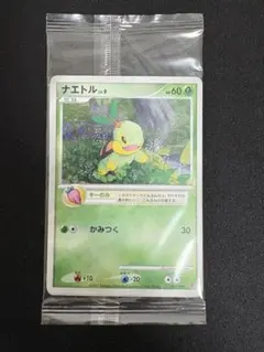 2025年最新】プロモ プレイヤーズの人気アイテム - メルカリ