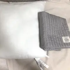 無印良品　洗えるクッション　中材　43×43cm 廃盤　スリーピー　カバーのサムネイル