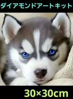 30×30cmシベリアンハスキー子犬ダイヤモンドアートキット
